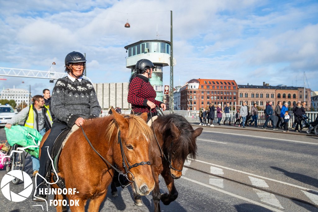 AHEJ5867.jpg